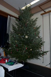 weihn-baum.jpg