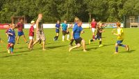 WP_20160727_17_45_29_Pro_LI.jpg