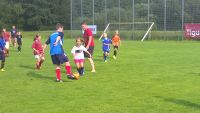 WP_20160727_17_40_27_Pro_LI.jpg