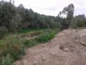 20140914_111531.jpg